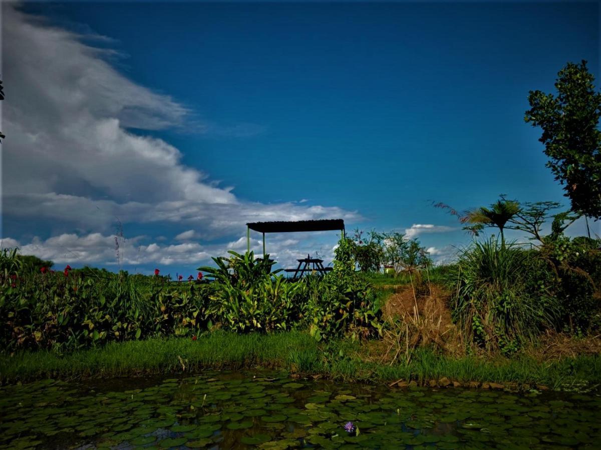 Yellow Haven Lodge Кампала Экстерьер фото