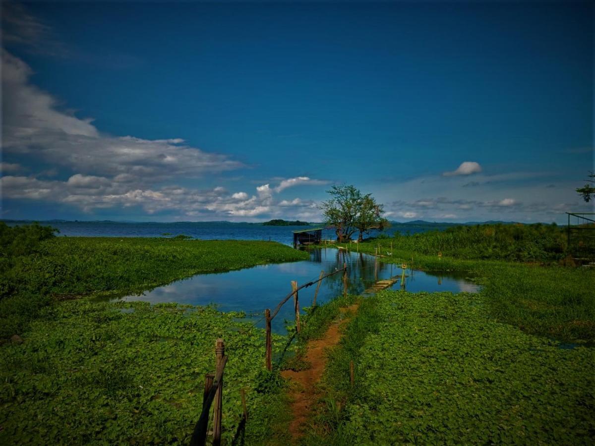 Yellow Haven Lodge Кампала Экстерьер фото